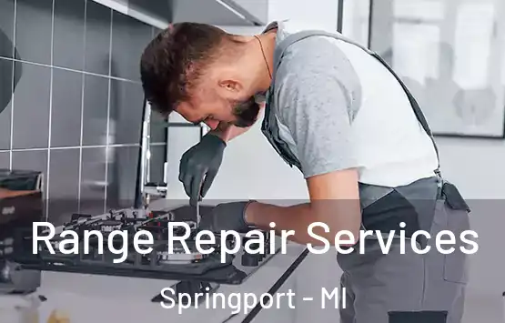  Range Repair Services Springport - MI