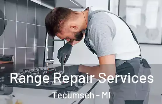  Range Repair Services Tecumseh - MI