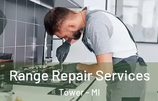  Range Repair Services Tower - MI