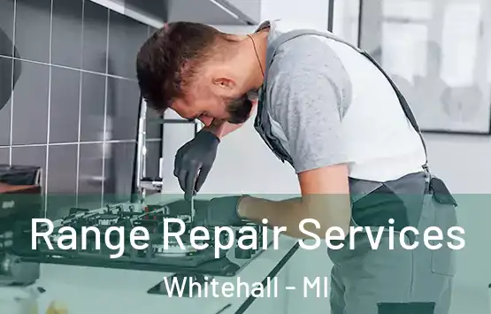  Range Repair Services Whitehall - MI