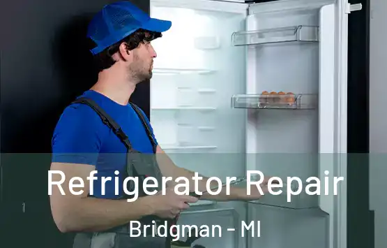  Refrigerator Repair Bridgman - MI