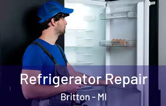  Refrigerator Repair Britton - MI