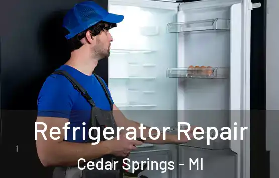  Refrigerator Repair Cedar Springs - MI