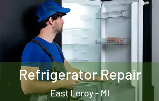  Refrigerator Repair East Leroy - MI