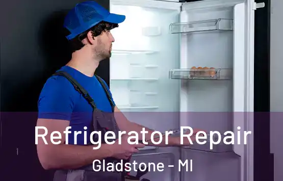  Refrigerator Repair Gladstone - MI