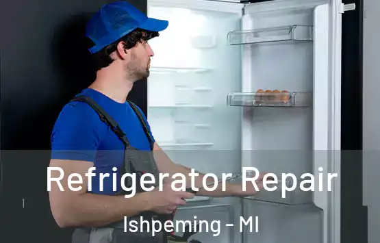  Refrigerator Repair Ishpeming - MI