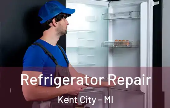  Refrigerator Repair Kent City - MI