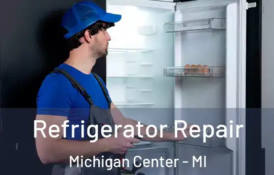  Refrigerator Repair Michigan Center - MI