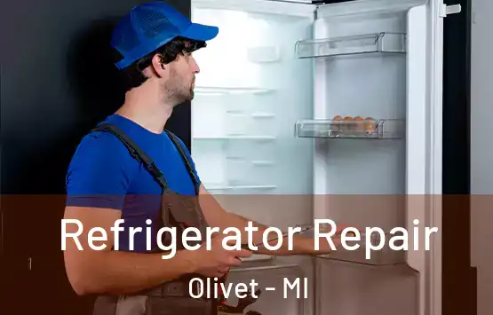  Refrigerator Repair Olivet - MI