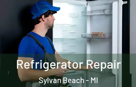 Refrigerator Repair Sylvan Beach - MI