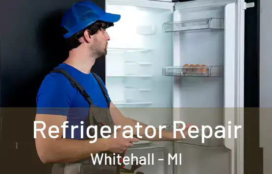  Refrigerator Repair Whitehall - MI