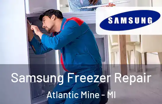  Samsung Freezer Repair Atlantic Mine - MI