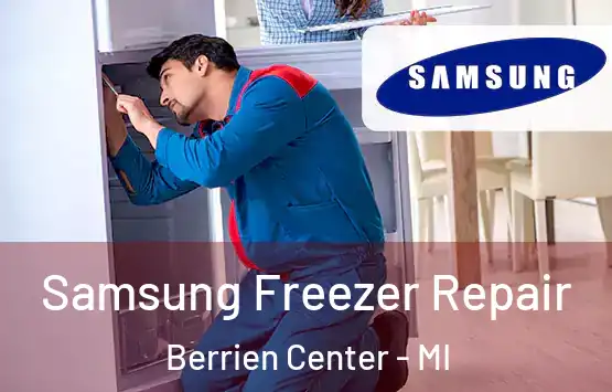  Samsung Freezer Repair Berrien Center - MI