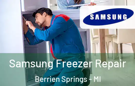  Samsung Freezer Repair Berrien Springs - MI