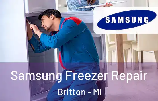  Samsung Freezer Repair Britton - MI