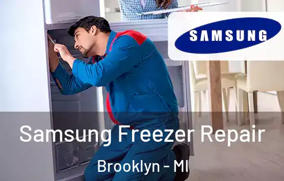  Samsung Freezer Repair Brooklyn - MI