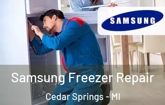  Samsung Freezer Repair Cedar Springs - MI