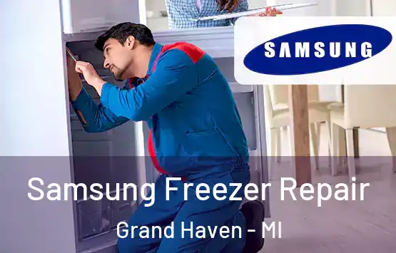  Samsung Freezer Repair Grand Haven - MI