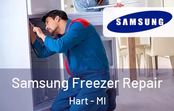  Samsung Freezer Repair Hart - MI