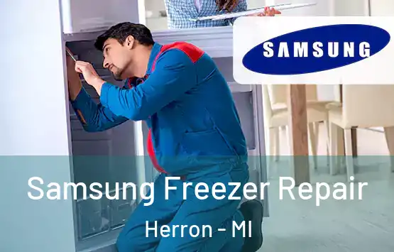  Samsung Freezer Repair Herron - MI