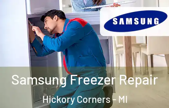  Samsung Freezer Repair Hickory Corners - MI