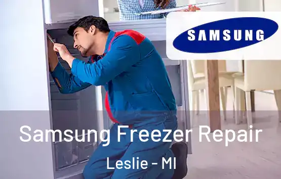  Samsung Freezer Repair Leslie - MI