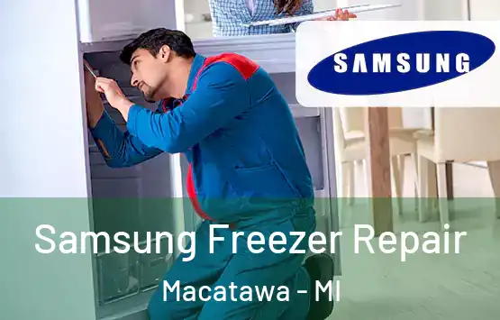  Samsung Freezer Repair Macatawa - MI
