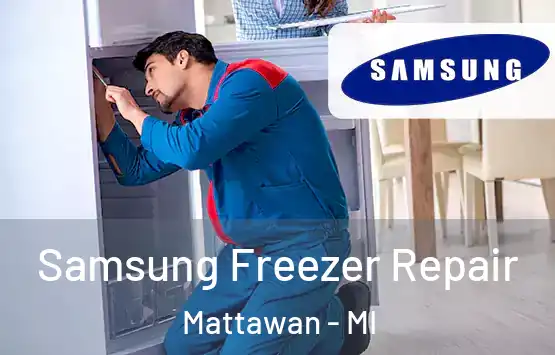  Samsung Freezer Repair Mattawan - MI