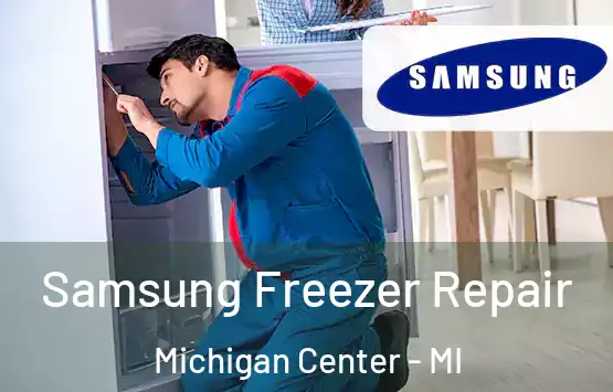  Samsung Freezer Repair Michigan Center - MI