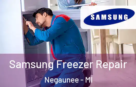 Samsung Freezer Repair Negaunee - MI