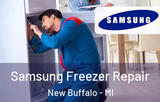  Samsung Freezer Repair New Buffalo - MI