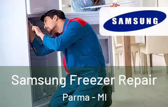  Samsung Freezer Repair Parma - MI