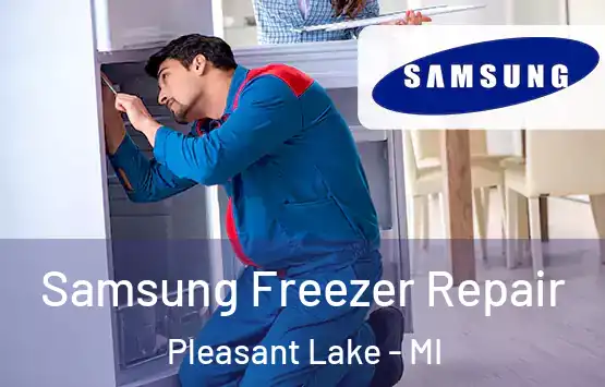 Samsung Freezer Repair Pleasant Lake - MI