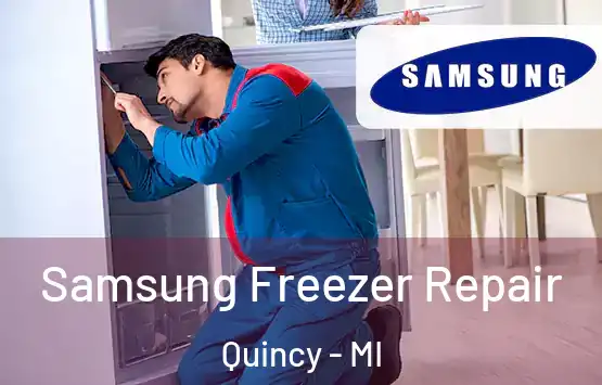  Samsung Freezer Repair Quincy - MI