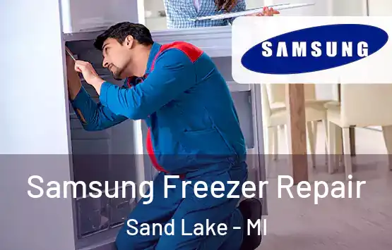  Samsung Freezer Repair Sand Lake - MI