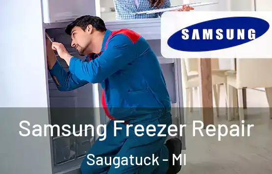  Samsung Freezer Repair Saugatuck - MI