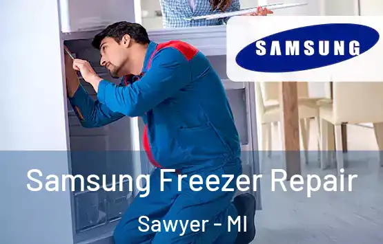  Samsung Freezer Repair Sawyer - MI