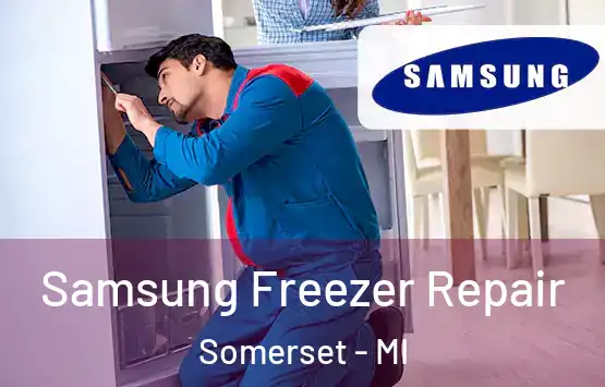  Samsung Freezer Repair Somerset - MI