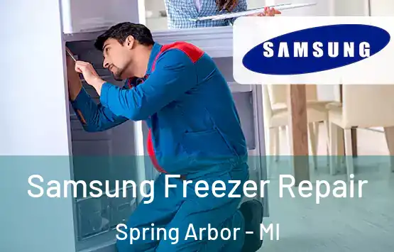  Samsung Freezer Repair Spring Arbor - MI