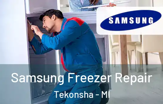  Samsung Freezer Repair Tekonsha - MI