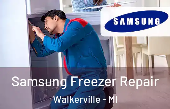  Samsung Freezer Repair Walkerville - MI