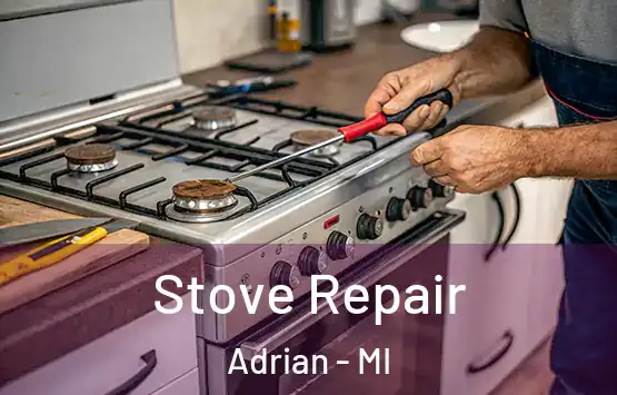  Stove Repair Adrian - MI