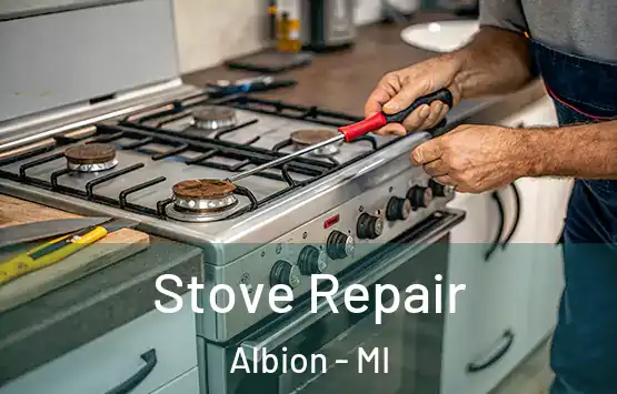  Stove Repair Albion - MI