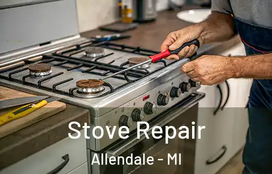 Stove Repair Allendale - MI