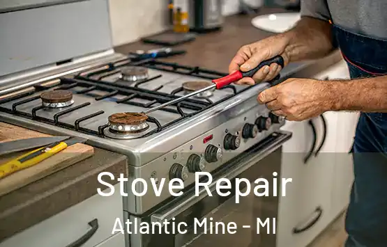  Stove Repair Atlantic Mine - MI