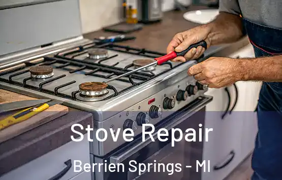  Stove Repair Berrien Springs - MI