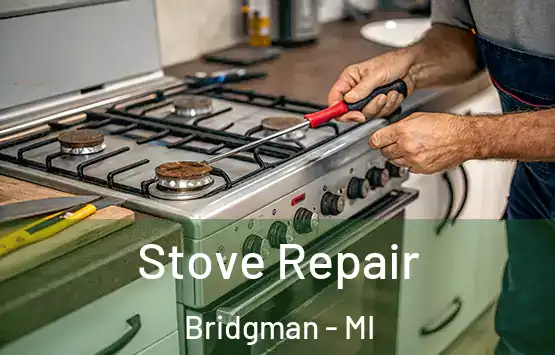  Stove Repair Bridgman - MI