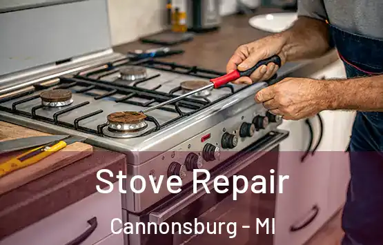  Stove Repair Cannonsburg - MI