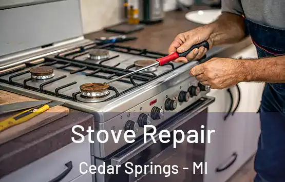 Stove Repair Cedar Springs - MI