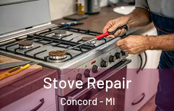  Stove Repair Concord - MI